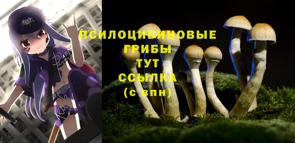 mix Инсар