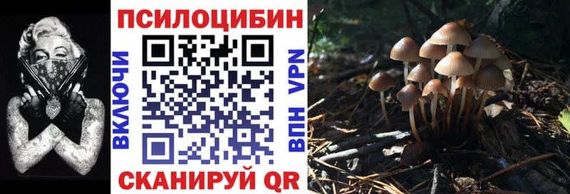 Псилоцибиновые грибы Psilocybine cubensis  Купить  Конаково 